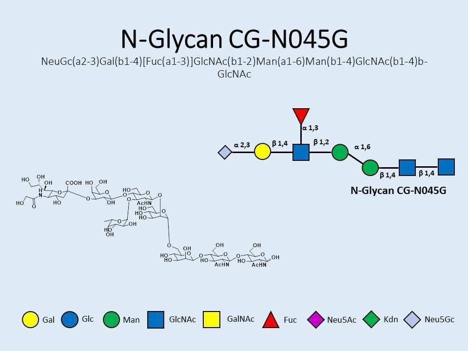N-Glycan-CG-N045G