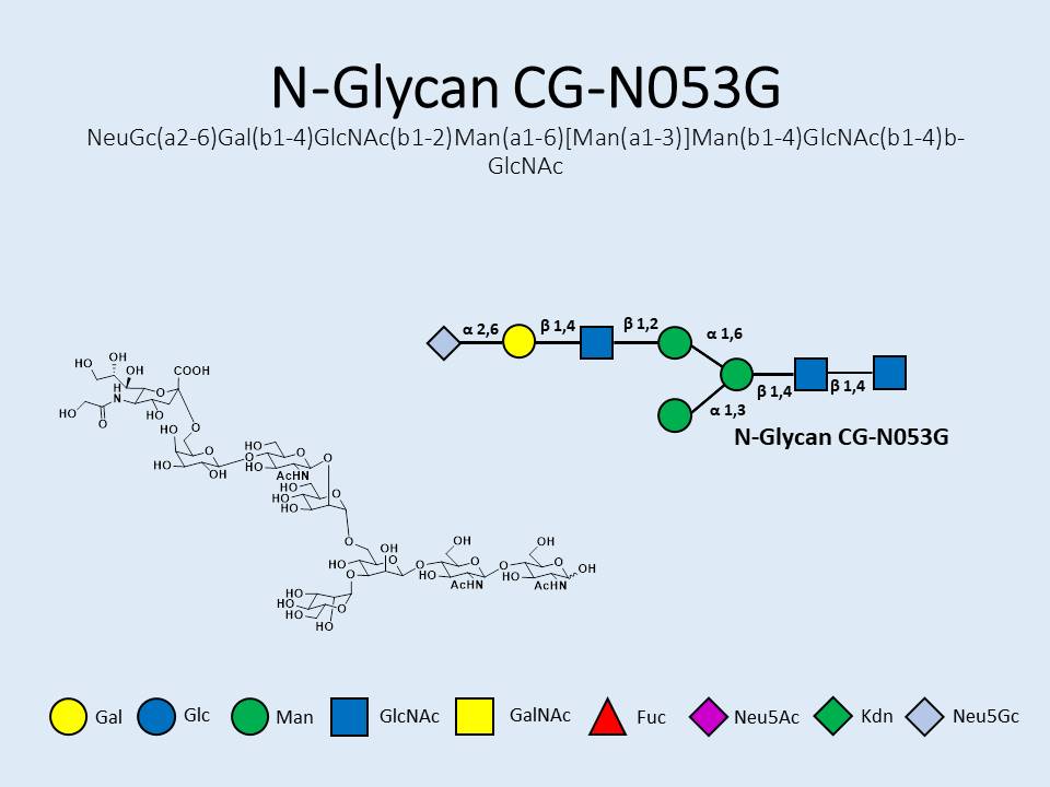 N-Glycan-CG-N053G