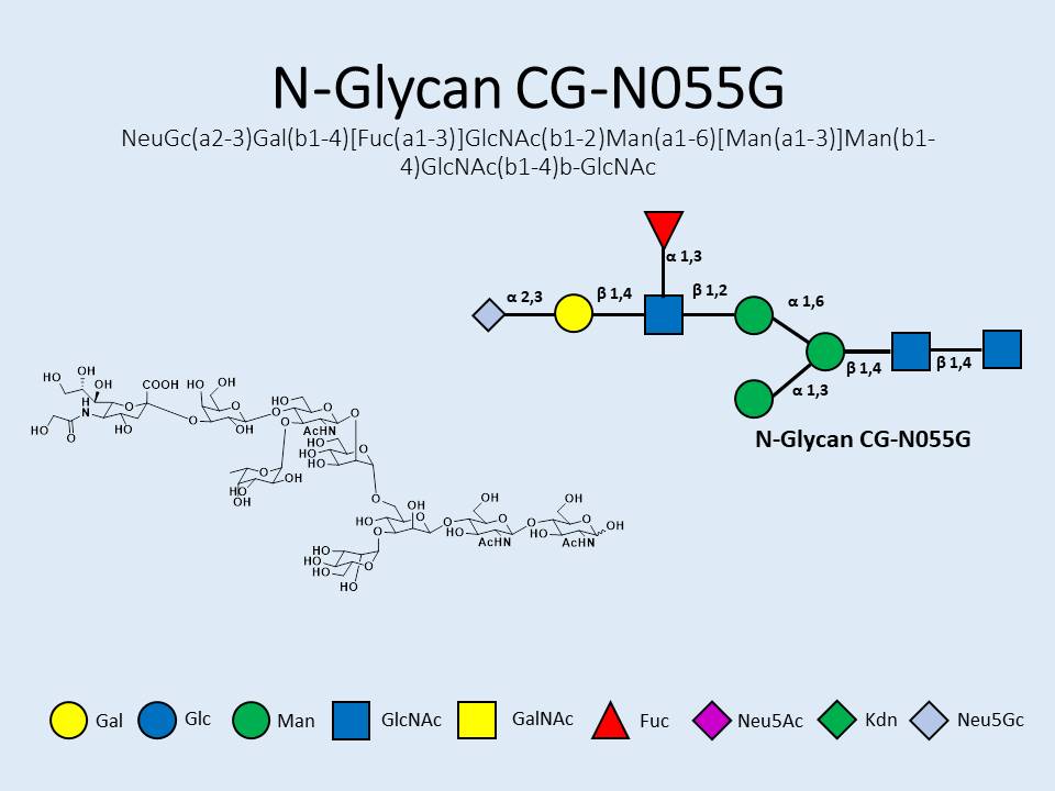 N-Glycan-CG-N055G