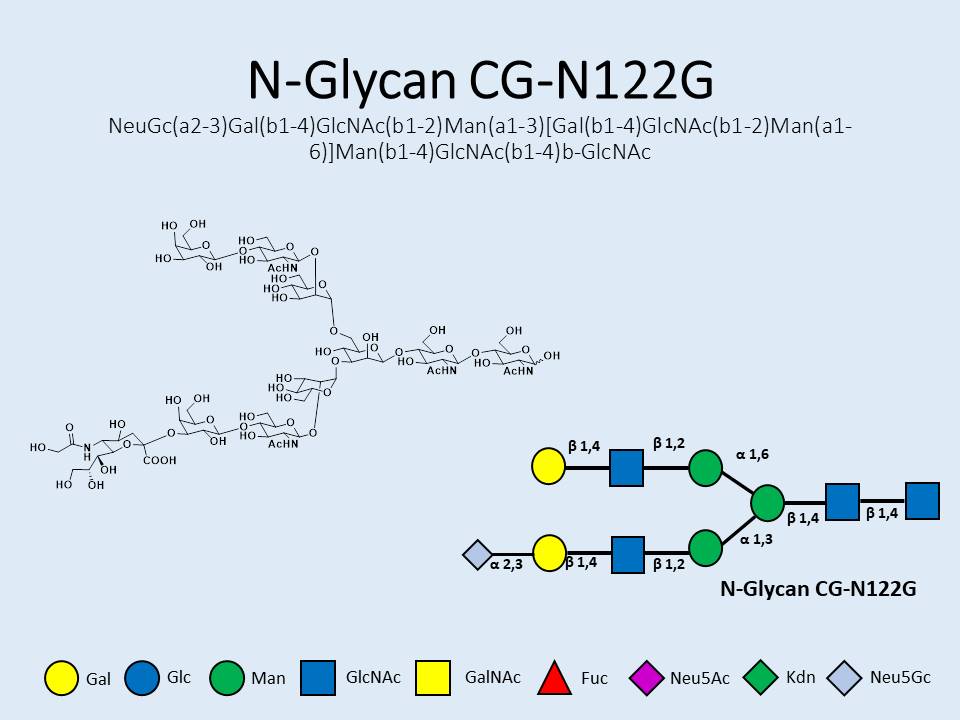 N-Glycan-CG-N112G