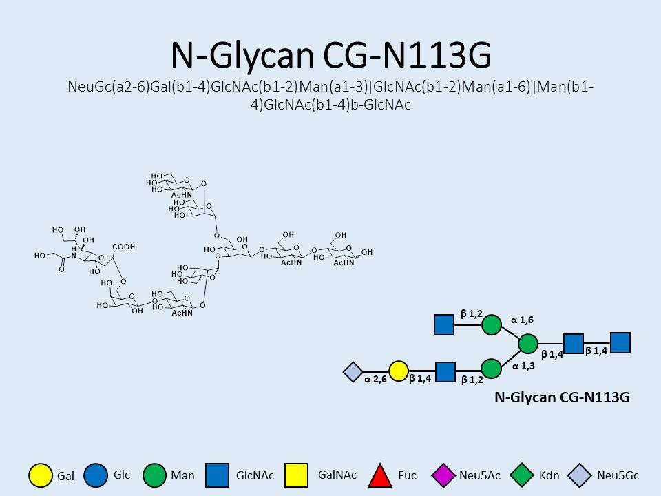 N-Glycan-CG-N113G