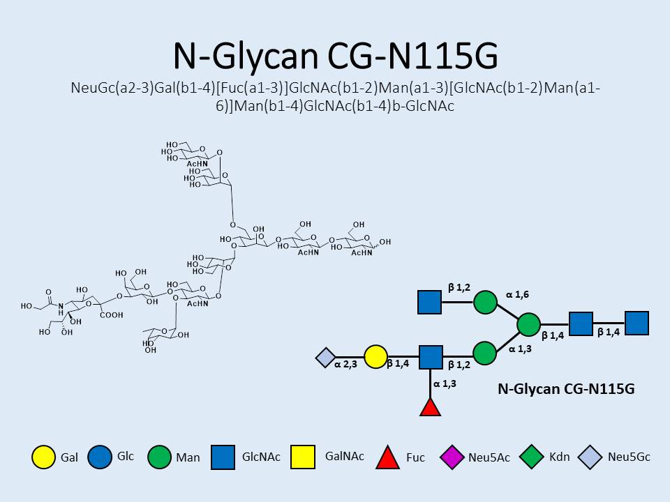 N-Glycan-CG-N115G