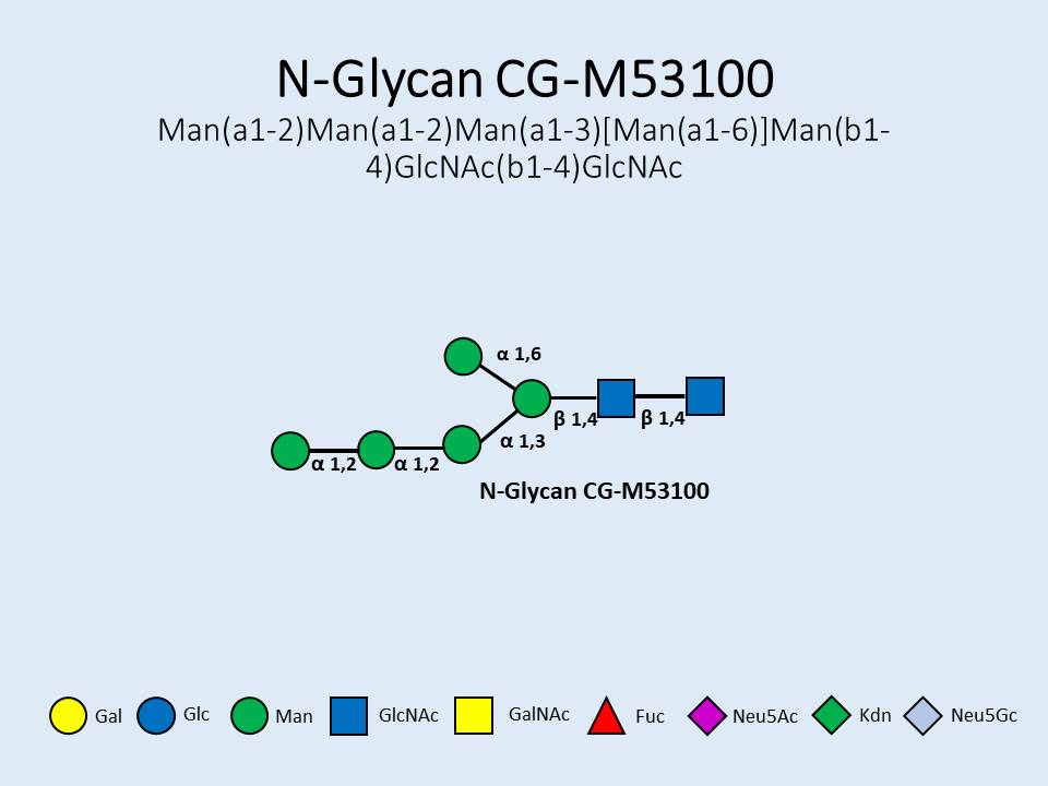 N-Glycan-CG-M53100