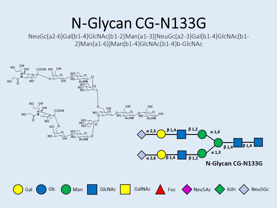 N-Glycan-CG-N133G