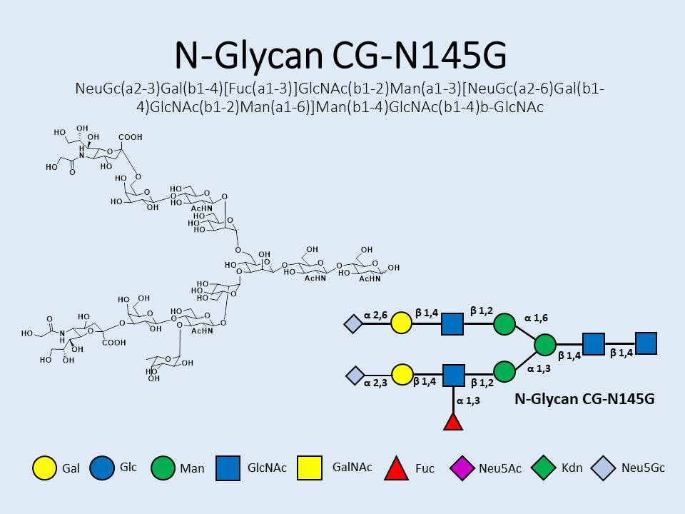 N-Glycan-CG-N145G