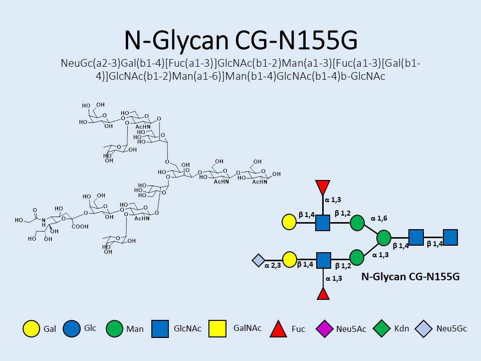 N-Glycan-CG-N155G
