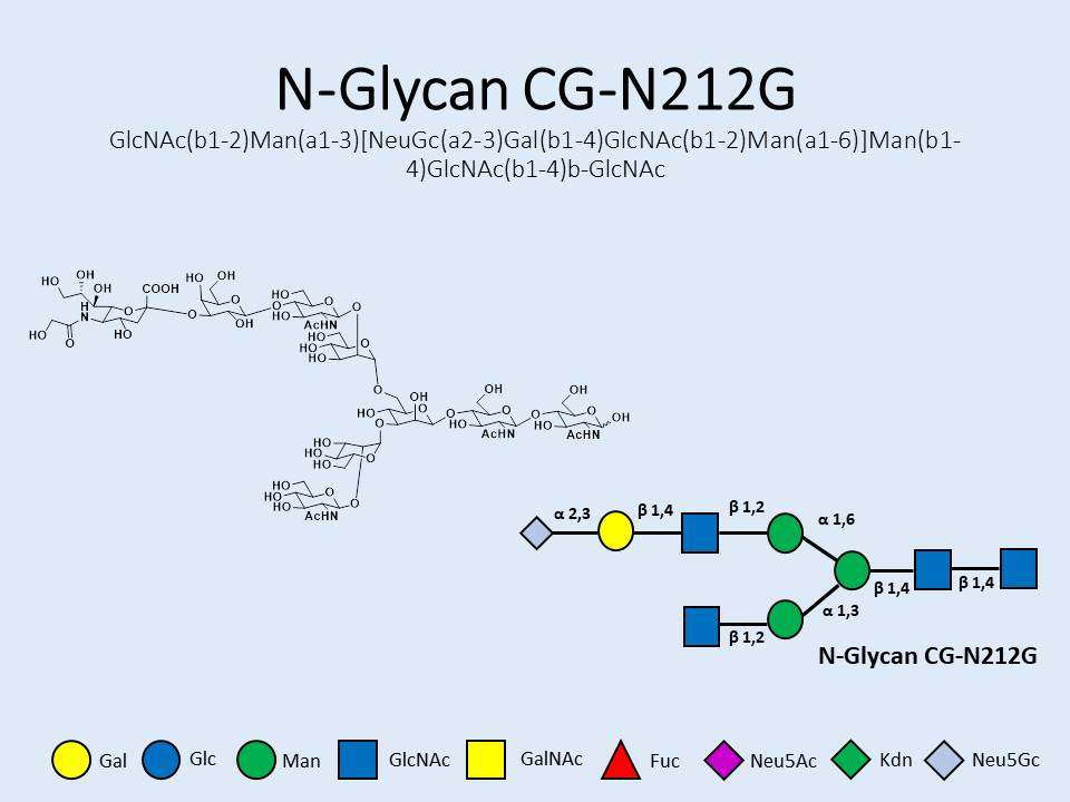 N-Glycan-CG-N212G