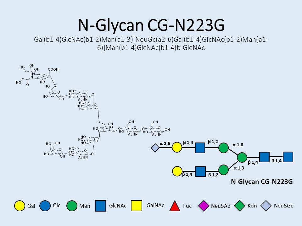 N-Glycan-CG-N223G