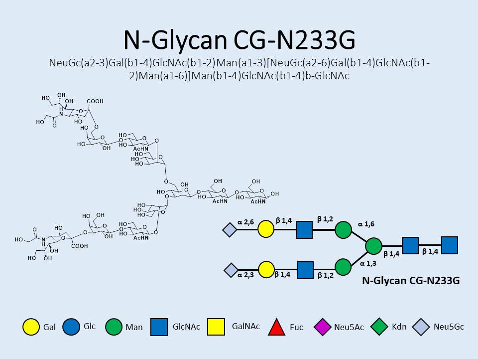 N-Glycan-CG-N233G