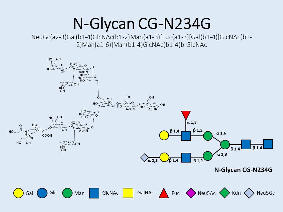 N-Glycan-CG-N234G