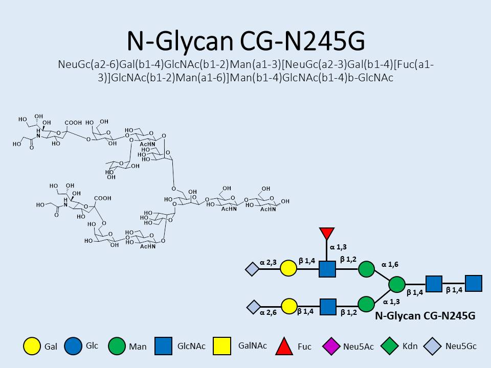N-Glycan-CG-N245G