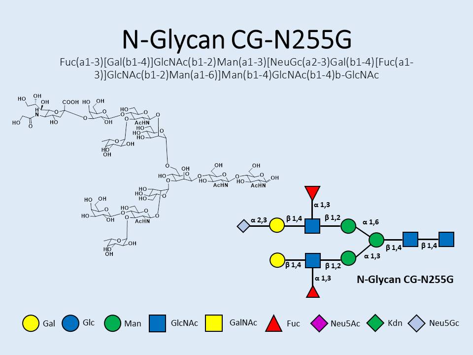 N-Glycan-CG-N255G