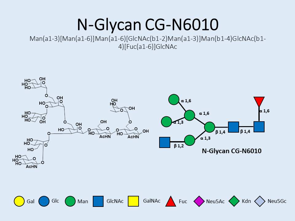 N-Glycan-CG-N6010