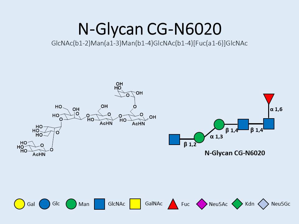 N-Glycan-CG-N6020