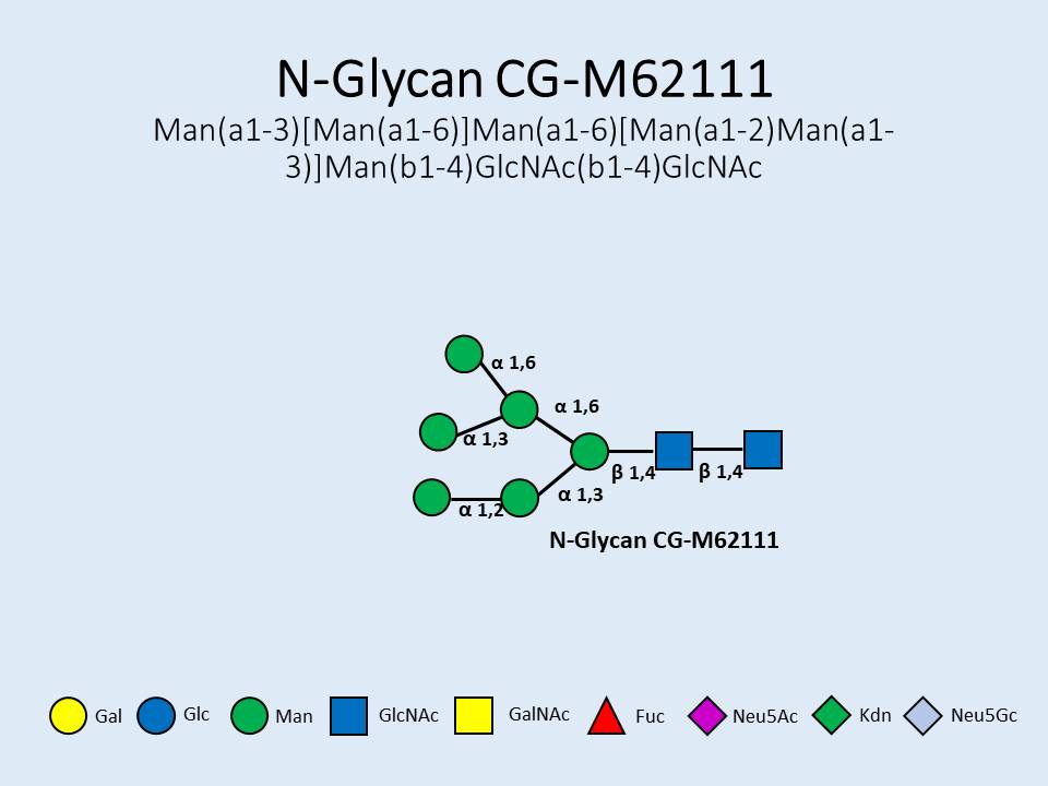 N-Glycan-CG-M51111