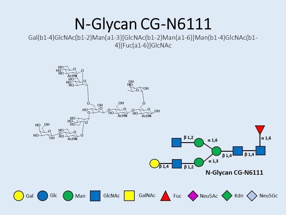 N-Glycan-CG-N6111