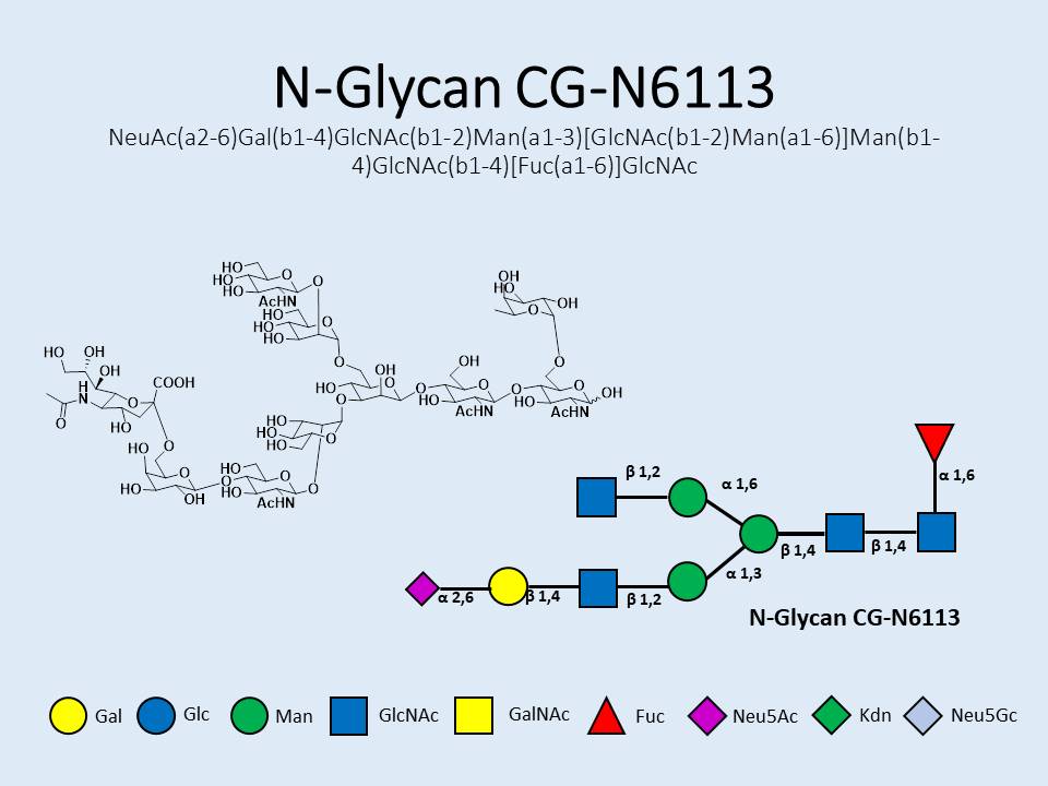 N-Glycan-CG-N6113