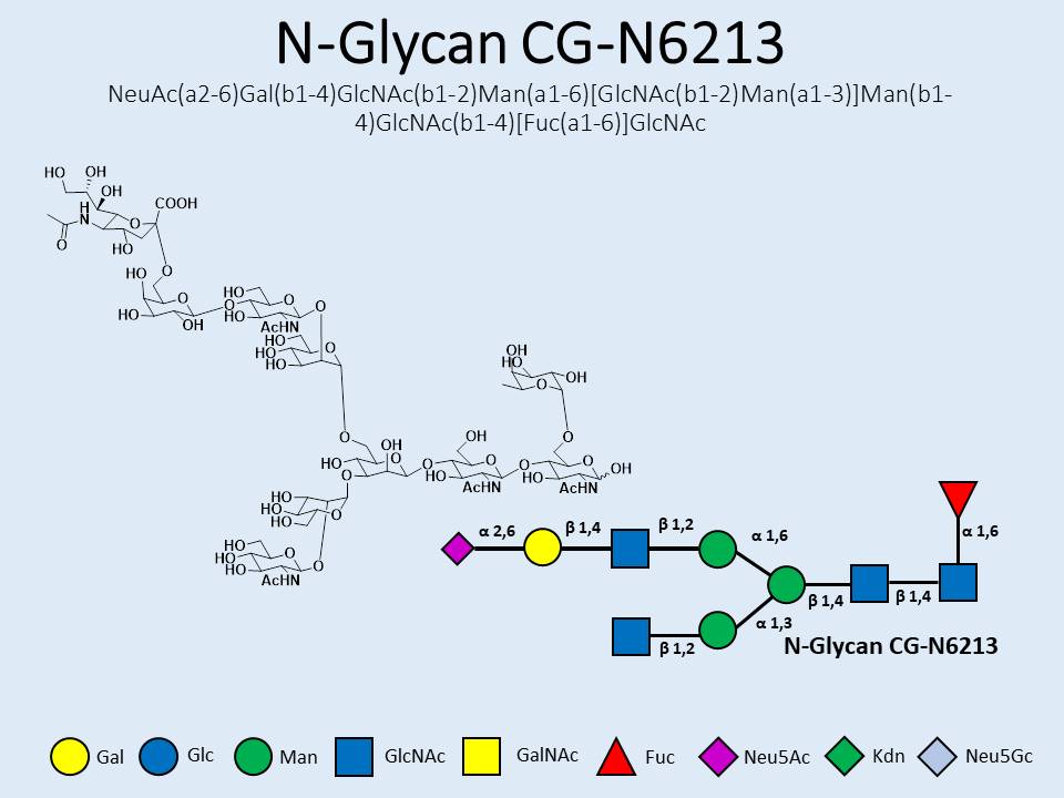 N-Glycan-CG-N6213