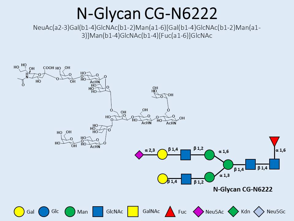 N-Glycan-CG-N6222