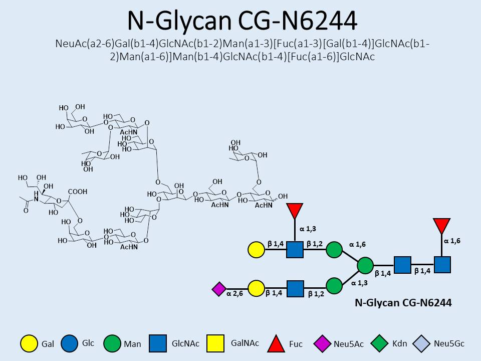 N-Glycan-CG-N6244