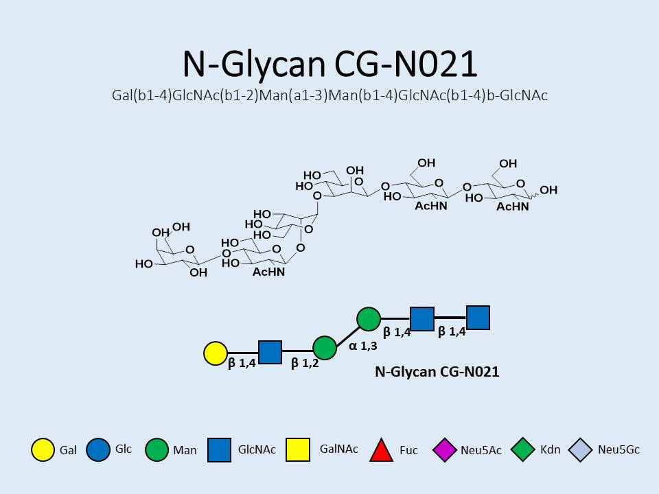 N-Glycan-CG-N021
