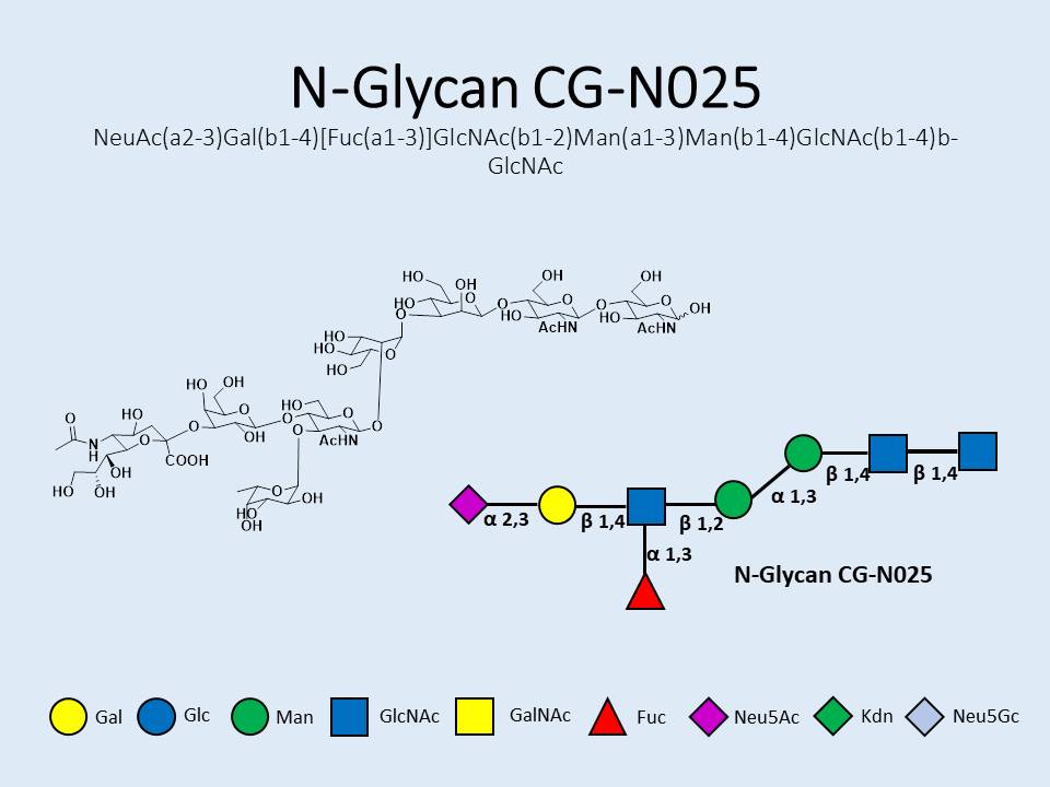 N-Glycan-CG-N025