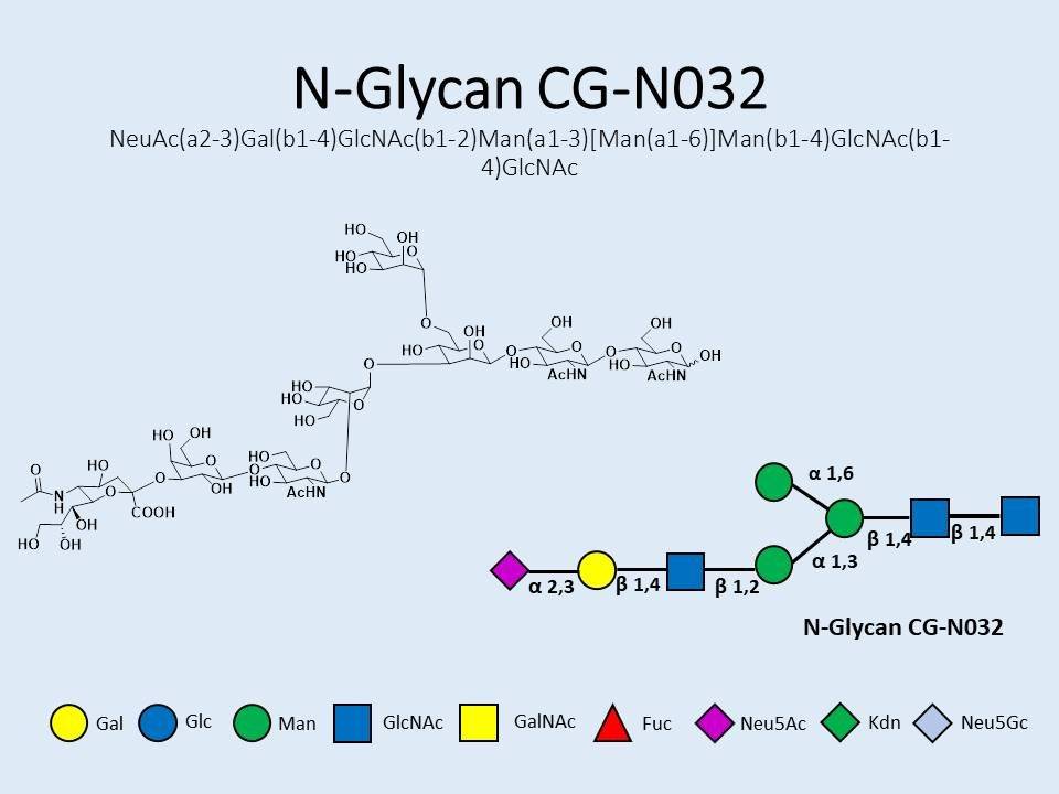 N-Glycan-CG-N032