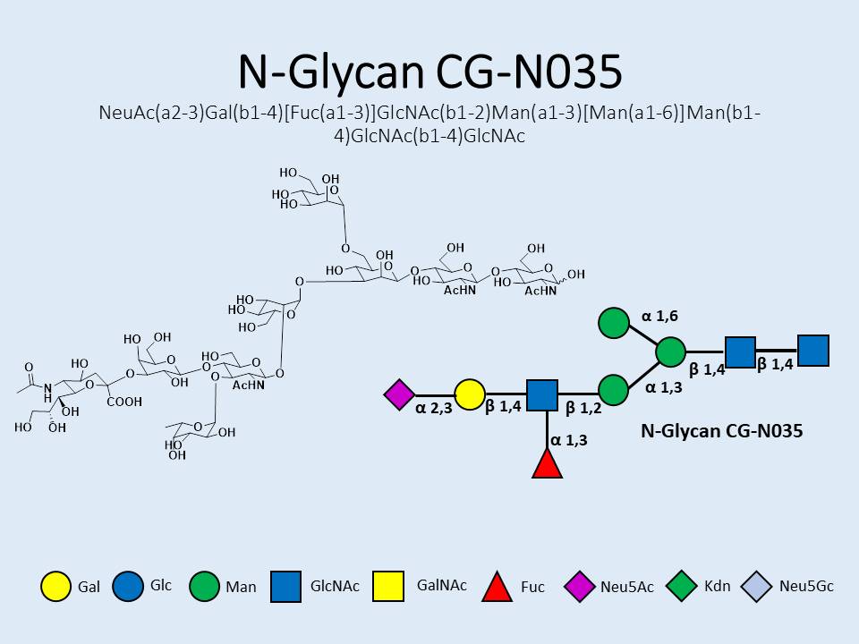 N-Glycan-CG-N035