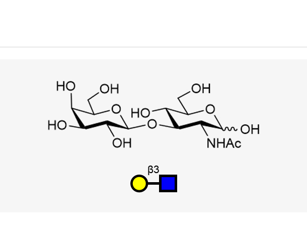 Lacto-N-biose I (LNB)