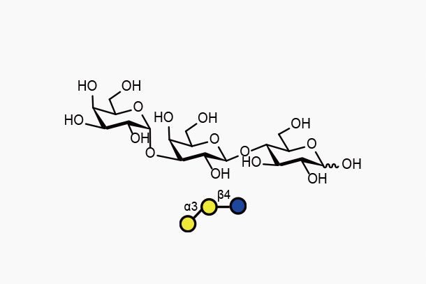 Gala1, 3Galb1, 4Glc