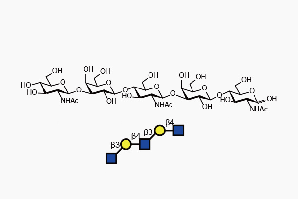 GlcNAcβ1-3Galβ1-4GlcNAcβ1-3Galβ1-4GlcNAc 