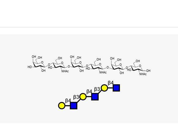 Galβ1-4GlcNAcβ1-3Galβ1-4GlcNAcβ1-3Galβ1-4GlcNAc