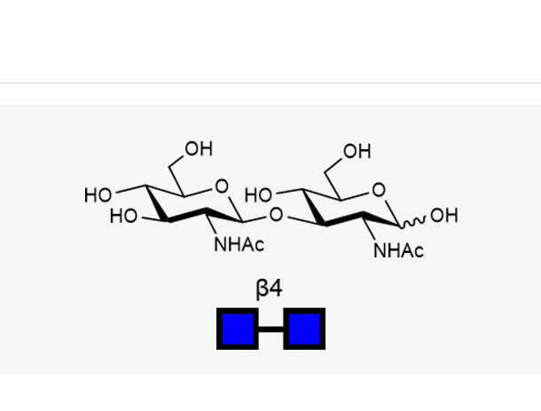 GlcNAcβ1-3(Neu5Acα2-6)Galβ1-4GlcNAc