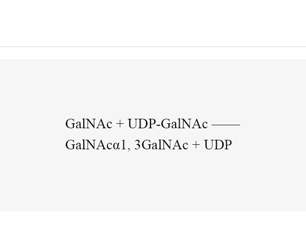 α1, 3-N-acetylgalactosaminyltransferase (Pm1138)