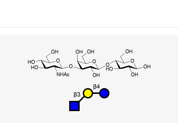 Lacto-N-triose II (LNT II)