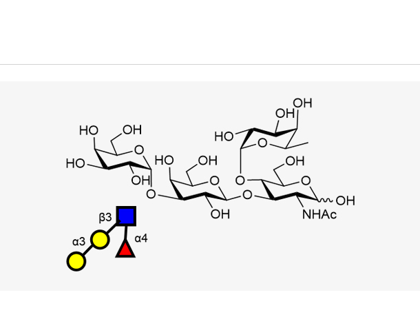 α-Gal Lewis A (Galα1-3GlcNAcβ1-3(Fucα1-4)GlcNAc) 