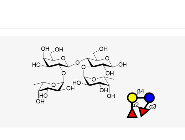 α-Gal Lewis X (Galα1-3Glcβ1-3(Fucα1-4)GlcNAc) 