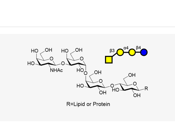 P(Galb1,3Gala1,4Galb1,4GlcbR)