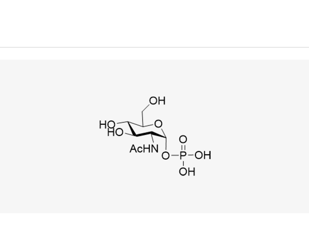 GlcNAc-1-P