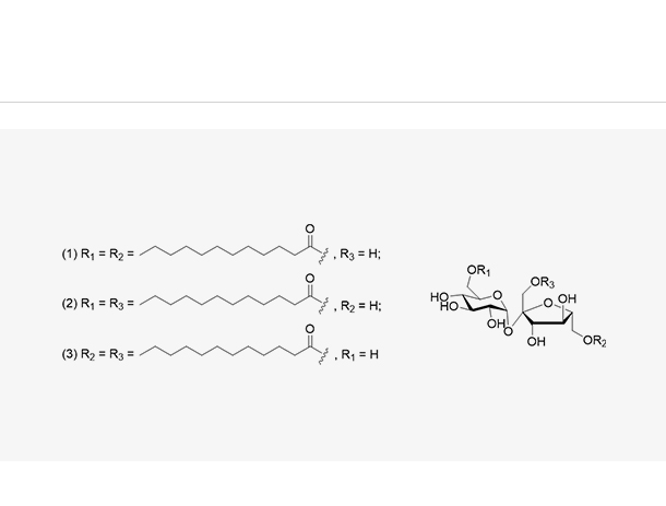 Sucrose dilaurate