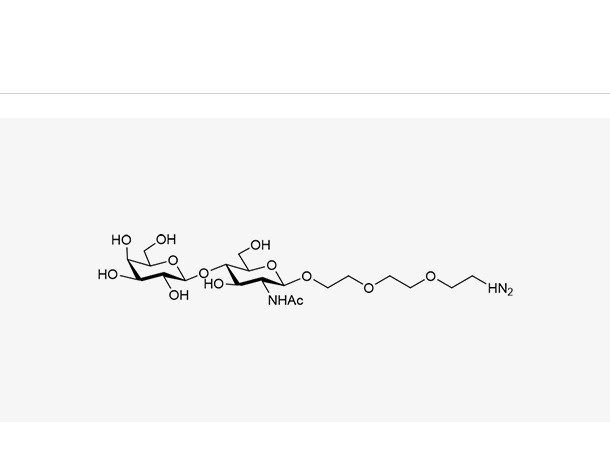 LacNAc PEG-NH2