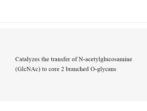 Alpha-1,4-N-Acetylglucosaminyltransferase 4 (A4GNT)