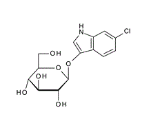 4, 6-O-Ethylidene-alpha-D-glucopyranose, CAS:18465-50-4
