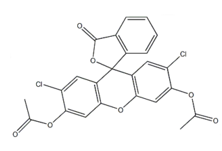 3, 5, 6-O-Tribenzyl-1, 2-O-isopropylidene-D-glucofuranose, CAS:53928-30-6