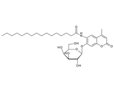 Di-O-isopropylidene-a-D-gulofuranose, CAS:14686-89-6