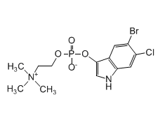 2, 4-O-Benzylidene-D-erythrose, CAS:81577-69-7