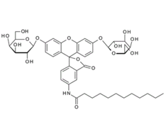Methyl3-amino-3-deoxy-?-D-glucopyranoside, CAS:14133-36-9