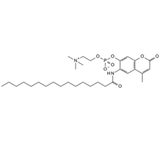 (-)-2, 3-O-Isopropylidene-D-threitol, CAS:73346-74-4