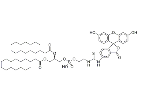 6-O-Benzoyl-1, 2-O-isopropylidene-a-D-glucofuranose, CAS:3254-32-8