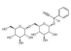 4, 6-O-Benzylidene-D-maltose